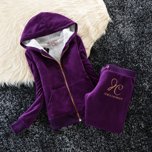 Wholesale Juicy Couture Tracksuits Long Sleeved For Women #860530 $80.00 USD, Wholesale Quality Replica Juicy Couture Tracksuits