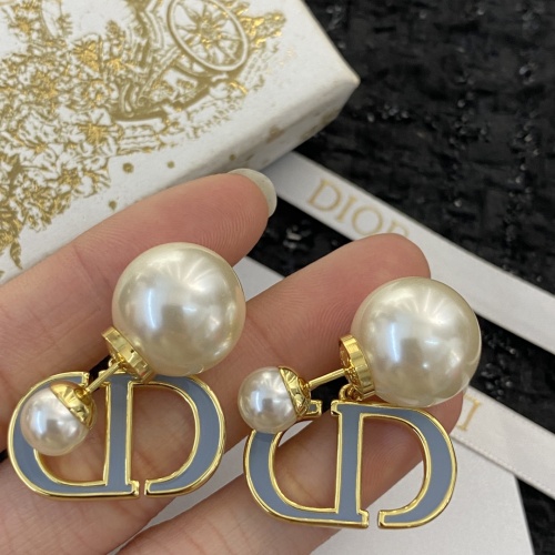 Wholesale Christian Dior Earrings For Women #1215395 $29.00 USD, Wholesale Quality Replica Christian Dior Earrings