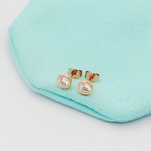 Wholesale Tiffany Earrings For Women #1229023 $23.00 USD, Wholesale Quality Replica Tiffany Earrings