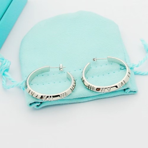 Wholesale Tiffany Earrings For Women #1234003 $25.00 USD, Wholesale Quality Replica Tiffany Earrings