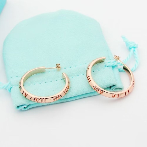 Wholesale Tiffany Earrings For Women #1234005 $25.00 USD, Wholesale Quality Replica Tiffany Earrings