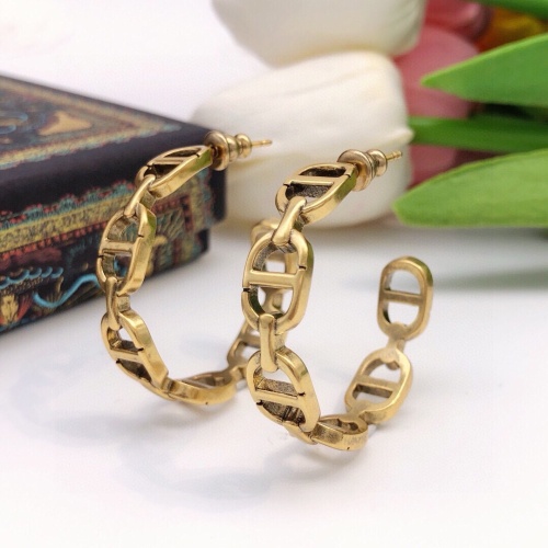 Wholesale Christian Dior Earrings For Women #1253105 $27.00 USD, Wholesale Quality Replica Christian Dior Earrings