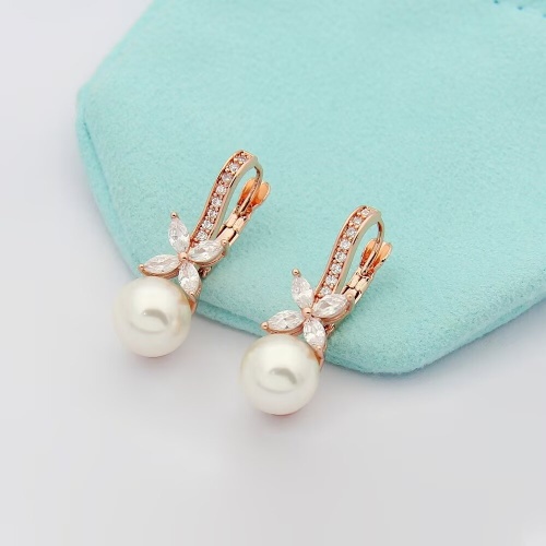 Wholesale Tiffany Earrings For Women #1270016 $25.00 USD, Wholesale Quality Replica Tiffany Earrings