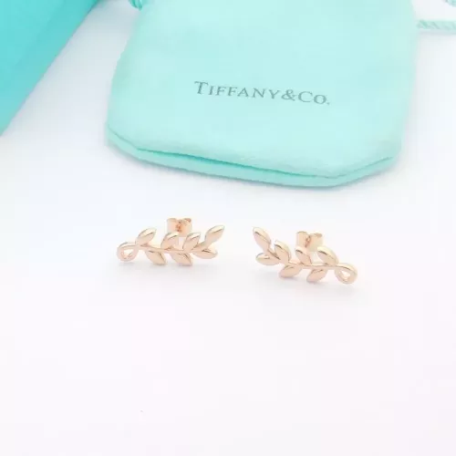 Wholesale Tiffany Earrings For Women #1280078 $25.00 USD, Wholesale Quality Replica Tiffany Earrings