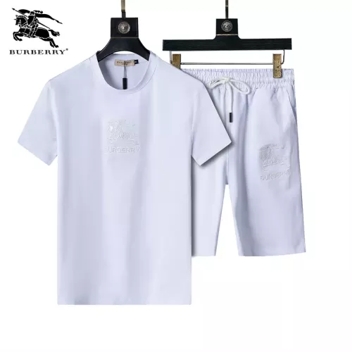 Wholesale Burberry Tracksuits Short Sleeved For Men #1294570 $48.00 USD, Wholesale Quality Replica Burberry Tracksuits