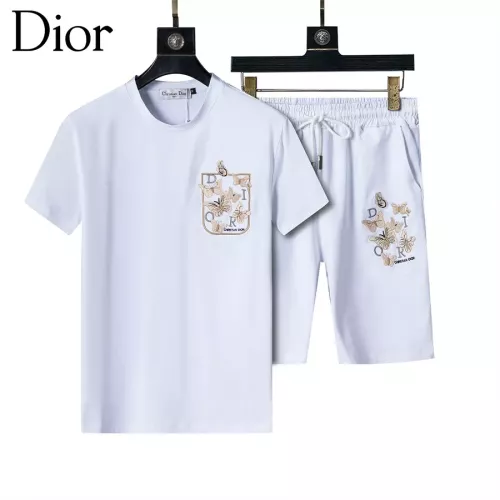 Wholesale Christian Dior Tracksuits Short Sleeved For Men #1294611 $48.00 USD, Wholesale Quality Replica Christian Dior Tracksuits