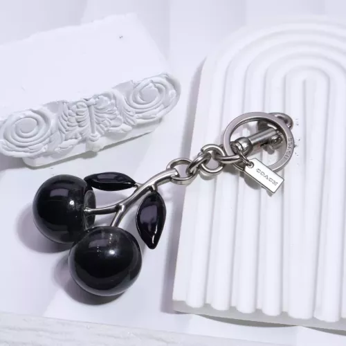Wholesale Coach Key Holder And Bag Buckle #1336515 $32.00 USD, Wholesale Quality Replica Coach Key Holder And Bag Buckle