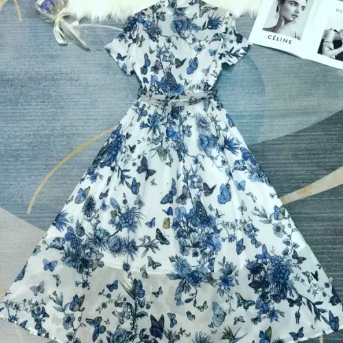 Wholesale Christian Dior Dresses Short Sleeved For Women #1342024 $115.00 USD, Wholesale Quality Replica Christian Dior Dresses