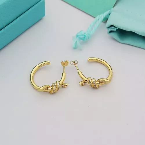 Wholesale Tiffany Earrings For Women #1345301 $27.00 USD, Wholesale Quality Replica Tiffany Earrings