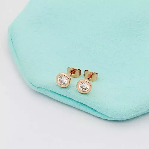 Wholesale Tiffany Earrings For Women #1345374 $23.00 USD, Wholesale Quality Replica Tiffany Earrings