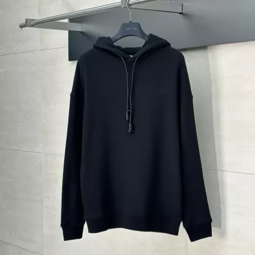 Wholesale LOEWE Hoodies Long Sleeved For Unisex #1350224 $85.00 USD, Wholesale Quality Replica LOEWE Hoodies