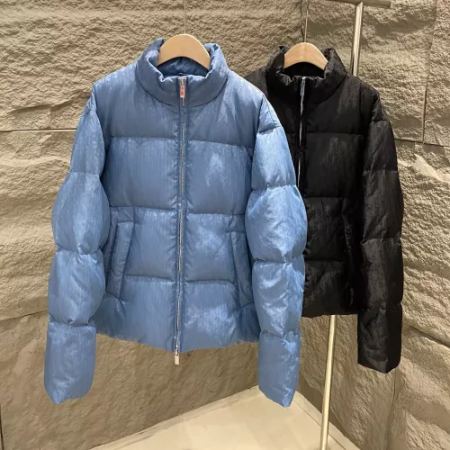 Wholesale Christian Dior Down Feather Coat Long Sleeved For Unisex #1380246 $215.00 USD, Wholesale Quality Replica Christian Dior Down Feather Coat