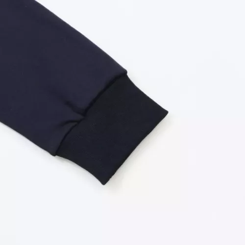 Replica Ralph Lauren Polo Hoodies Long Sleeved For Unisex #1380251 $52.00 USD for Wholesale