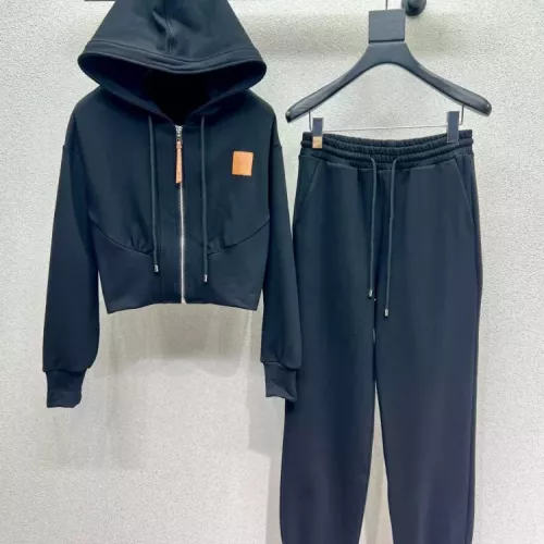 Wholesale LOEWE Tracksuits Long Sleeved For Women #1380318 $96.00 USD, Wholesale Quality Replica LOEWE Tracksuits