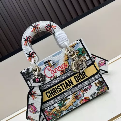 Wholesale Christian Dior AAA Quality Handbags For Women #1387328 $105.00 USD, Wholesale Quality Replica Christian Dior AAA Quality Handbags