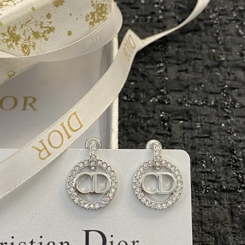 Wholesale Christian Dior Earrings For Women #1390824 $27.00 USD, Wholesale Quality Replica Christian Dior Earrings