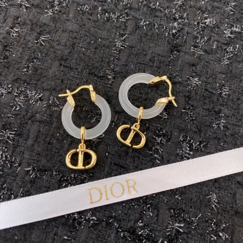 Wholesale Christian Dior Earrings For Women #1390833 $32.00 USD, Wholesale Quality Replica Christian Dior Earrings
