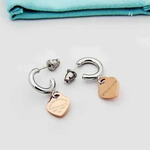 Wholesale Tiffany Earrings For Women #1397705 $23.00 USD, Wholesale Quality Replica Tiffany Earrings