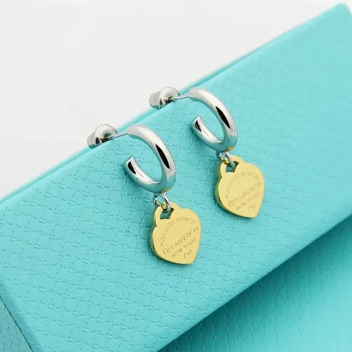 Wholesale Tiffany Earrings For Women #1397707 $23.00 USD, Wholesale Quality Replica Tiffany Earrings