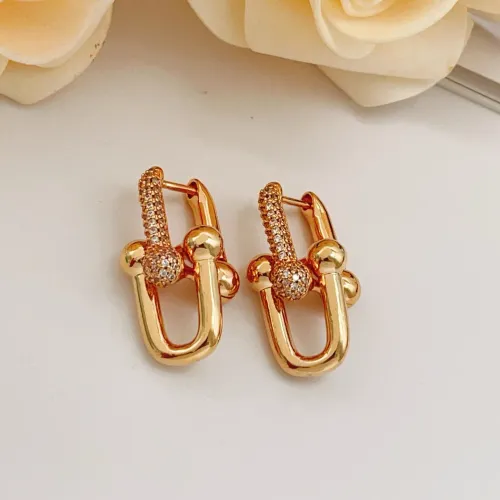 Wholesale Tiffany Earrings For Women #1425672 $27.00 USD, Wholesale Quality Replica Tiffany Earrings