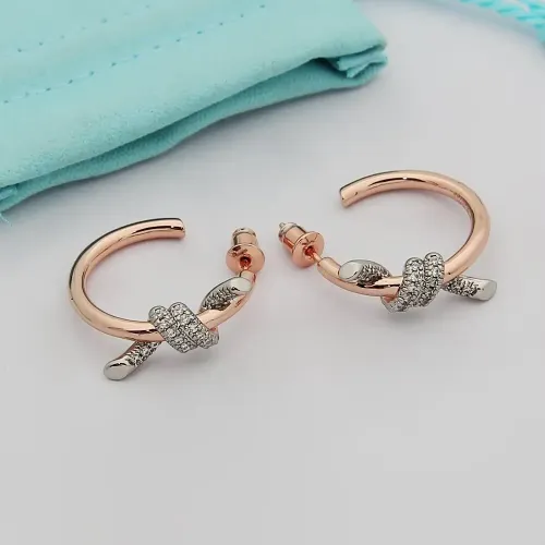 Wholesale Tiffany Earrings For Women #1440445 $25.00 USD, Wholesale Quality Replica Tiffany Earrings