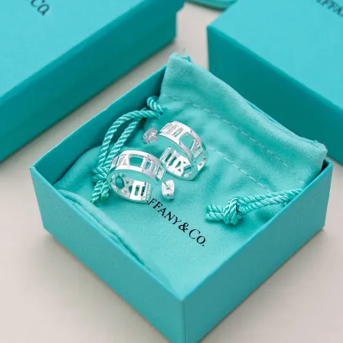 Wholesale Tiffany Earrings For Women #1441153 $17.00 USD, Wholesale Quality Replica Tiffany Earrings