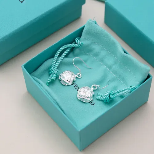 Wholesale Tiffany Earrings For Women #1441165 $17.00 USD, Wholesale Quality Replica Tiffany Earrings