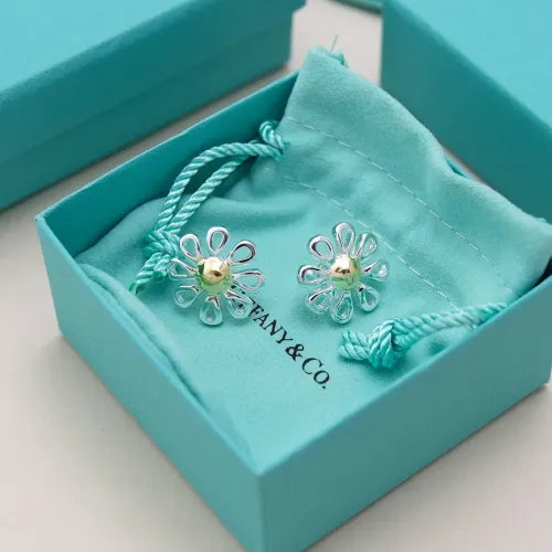 Wholesale Tiffany Earrings For Women #1441166 $17.00 USD, Wholesale Quality Replica Tiffany Earrings