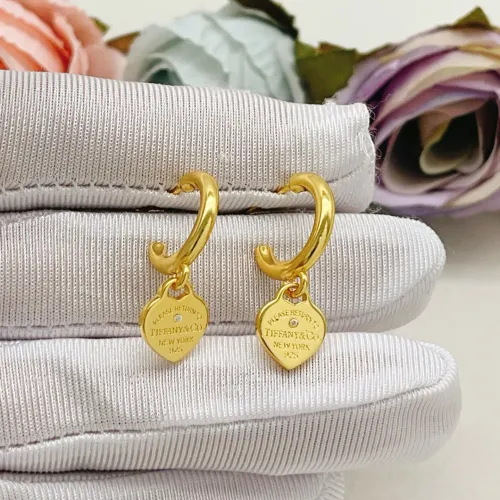 Wholesale Tiffany Earrings For Women #1449642 $32.00 USD, Wholesale Quality Replica Tiffany Earrings