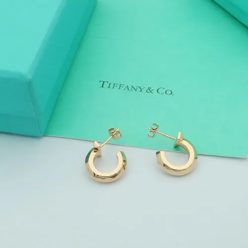 Wholesale Tiffany Earrings For Women #1479008 $25.00 USD, Wholesale Quality Replica Tiffany Earrings